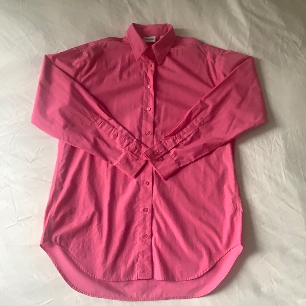 Aritzia Future Shirt Button Down Blouse